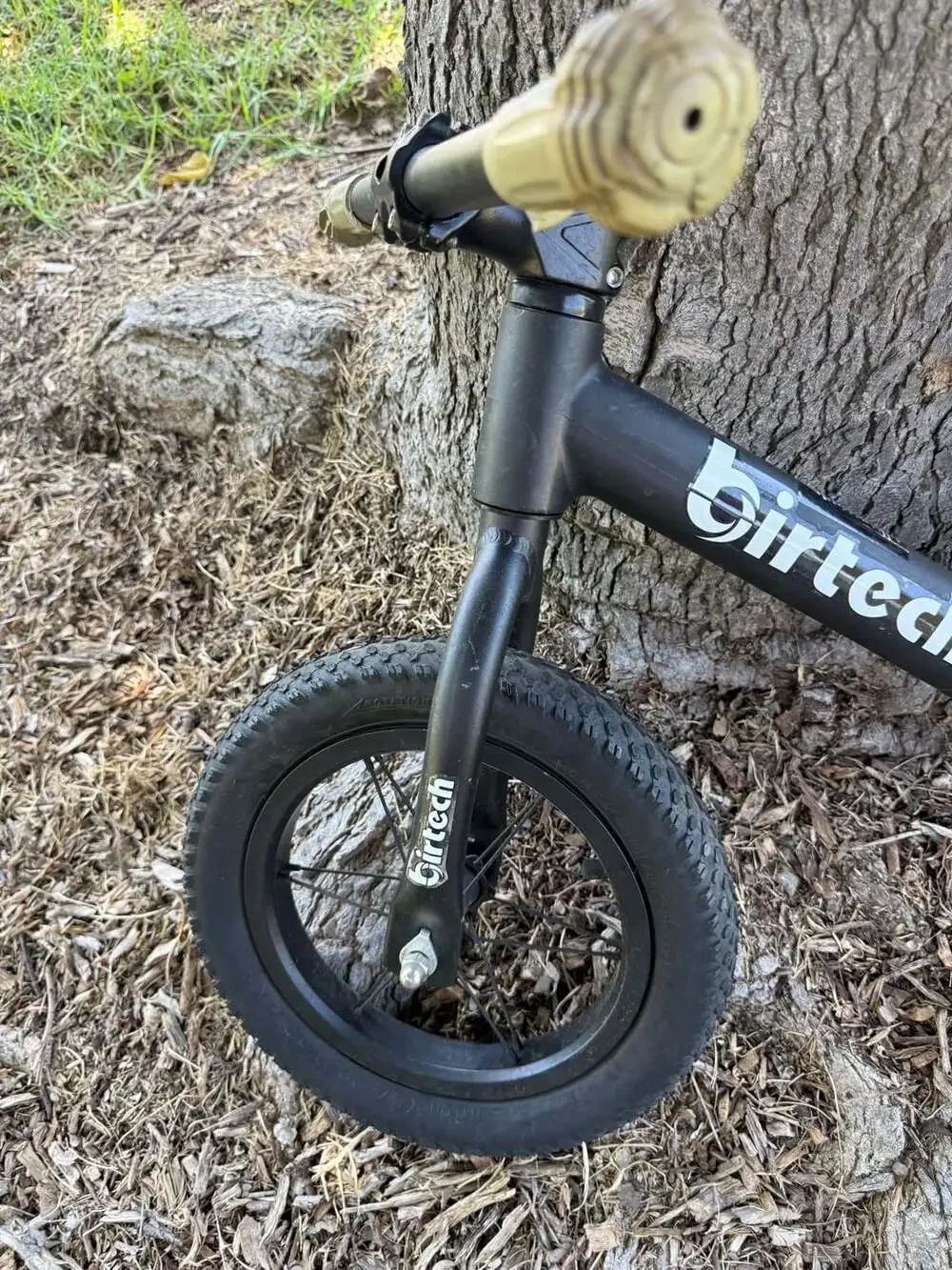 Birtech 12 Inch Kids Balance Bike with Air Tires